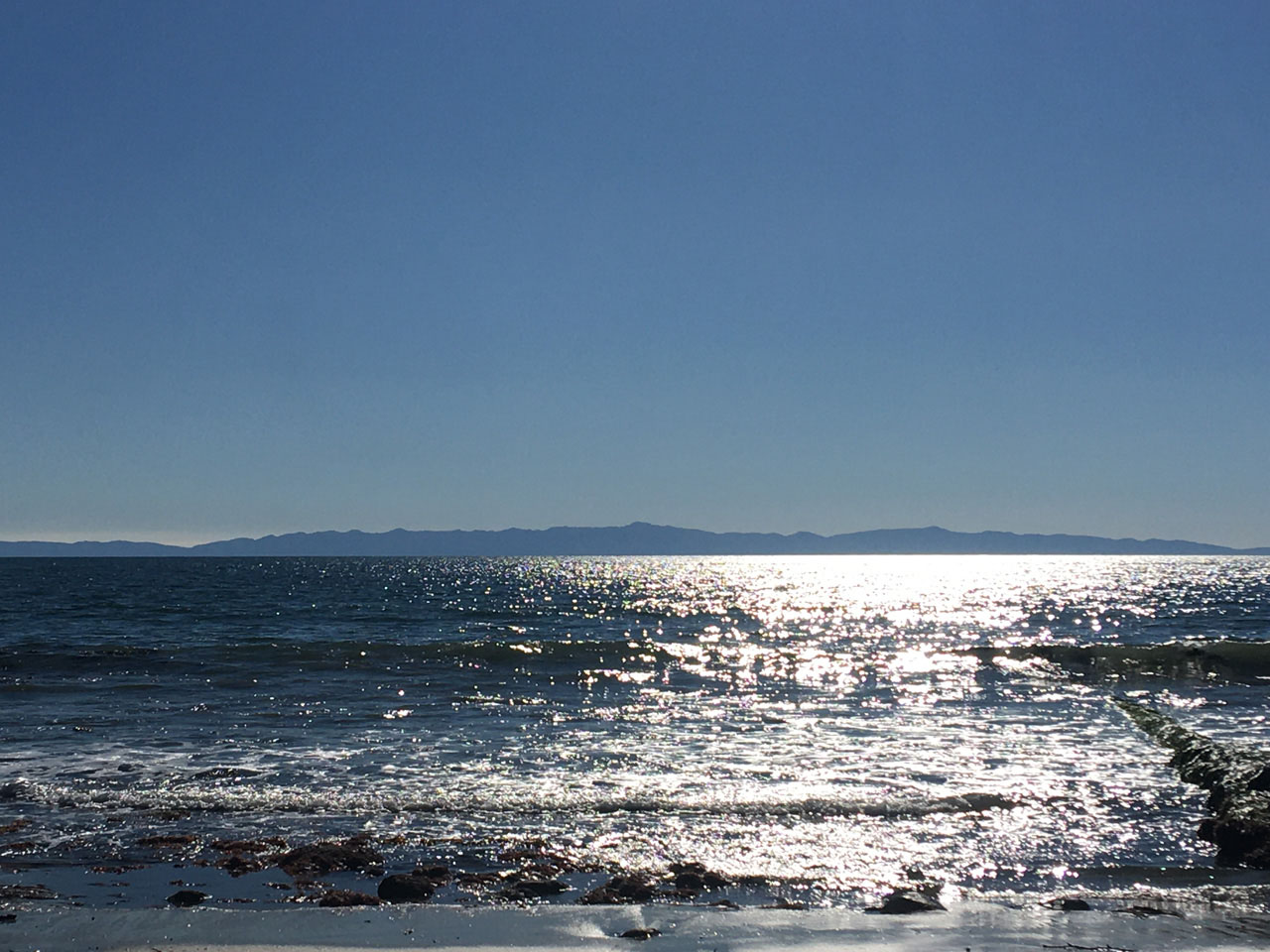 L'allégresse de la femme solitaire - SANTA CRUZ - Photo 4